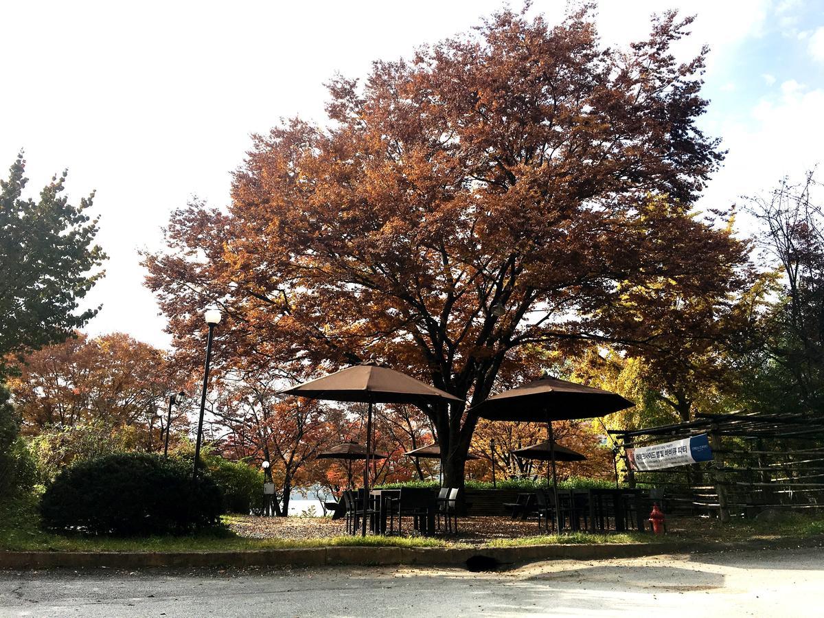 Corea Condo คยองจู ภายนอก รูปภาพ