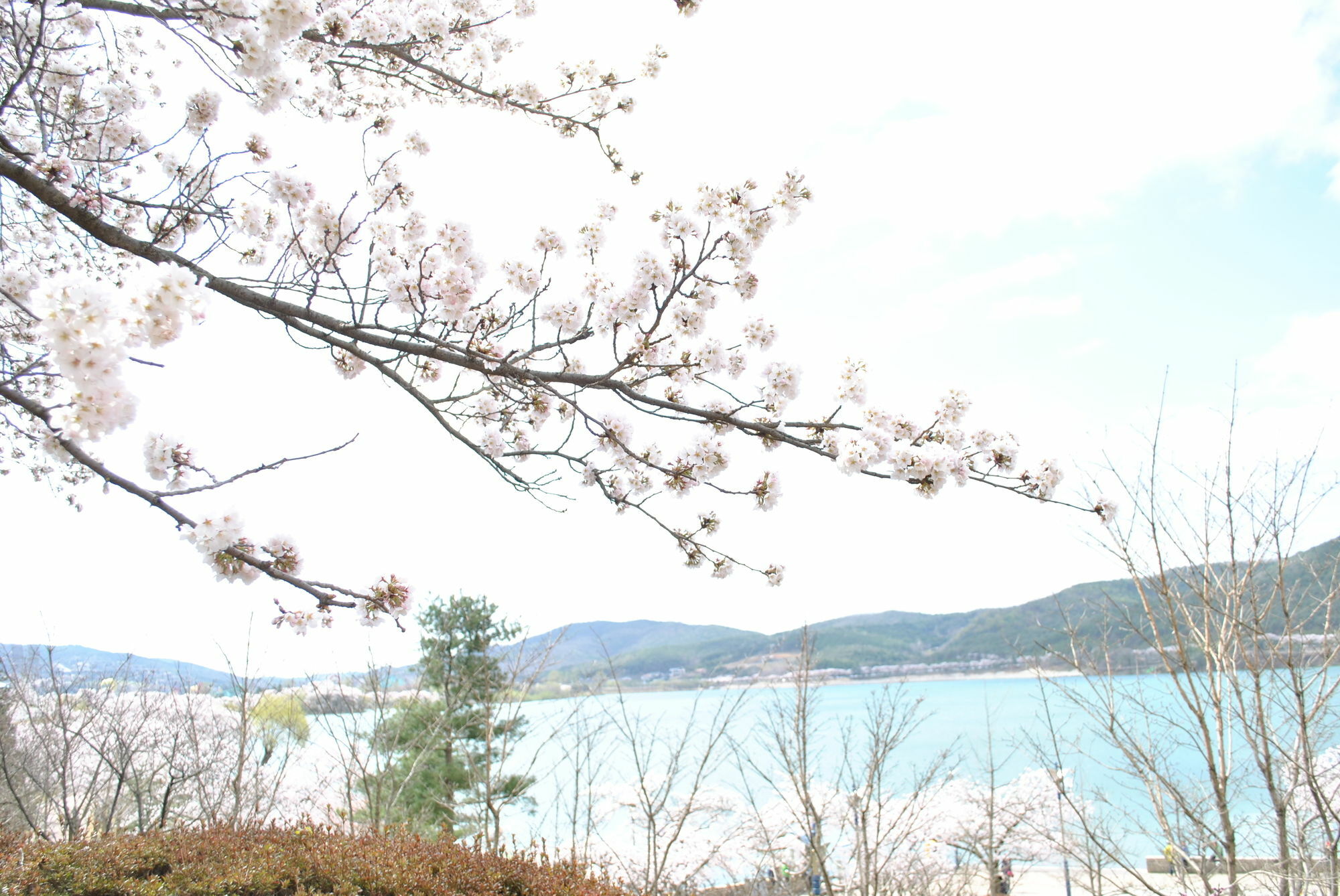 Corea Condo คยองจู ภายนอก รูปภาพ