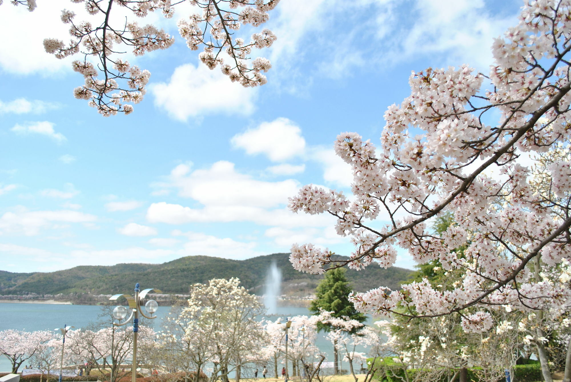 Corea Condo คยองจู ภายนอก รูปภาพ
